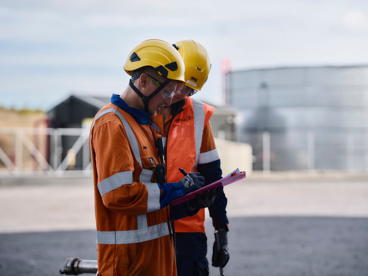 2 workers reading a chart